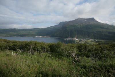 View from the lot on the hill