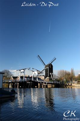 g3/02/505202/3/54386486.L3.jpg