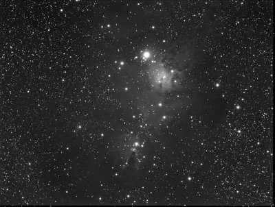 NGC2264 - The Cone Nebula  12-Feb-2010