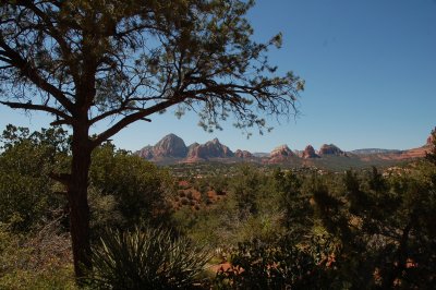 DSC_1981.jpg