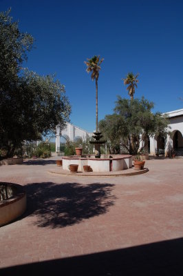 DSC_1993.jpg