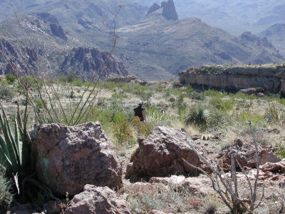 And they call this a desert?