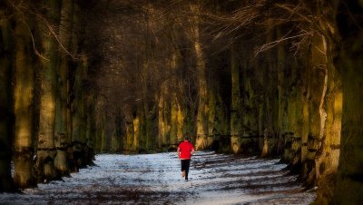 Scarlet Jogger