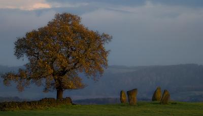 9 Stones Close (The Grey Ladies)