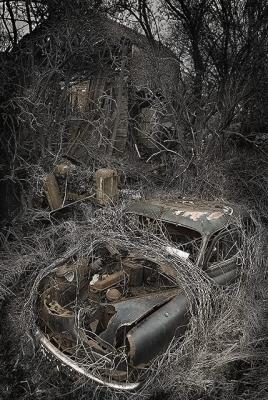 Abandoned Car