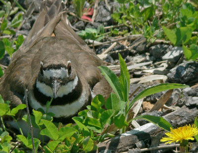 P1070582Web.jpg
