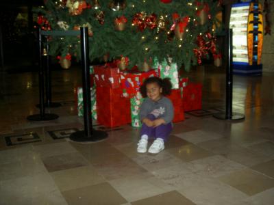 Hard to believe it's almost Christmas