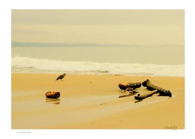 Beach in Winter!