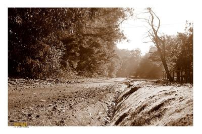 Country lane