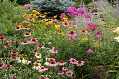 aug 081.jpg