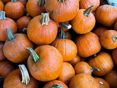 c1s2-example3-punkins.jpg