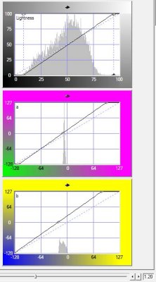 c1s2-example7-color cast LAB.jpg
