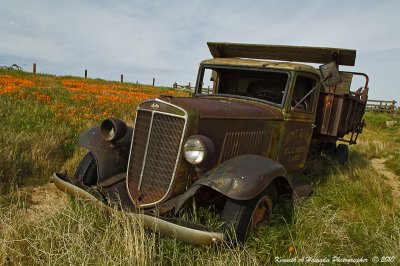 Out to Pasture 001.jpg