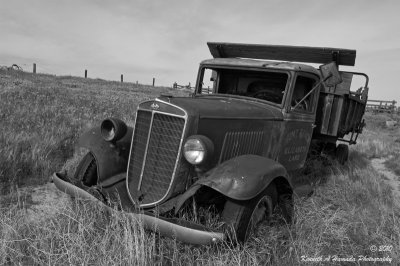 Out to Pasture 001 BW.jpg