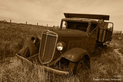 Out to Pasture 001 Sepia.jpg