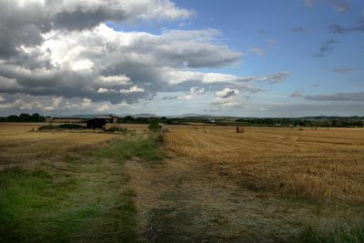 Kells Field, Co.Kilkenny