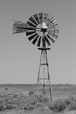 82506-1_6033 .jpg