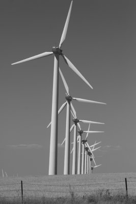 82506-1_6084 .jpg