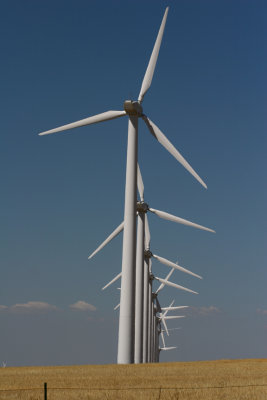 82506-1_6082 .jpg