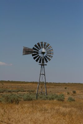 82506-1_6030 .jpg
