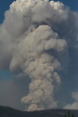 81906-2_5774 .jpg