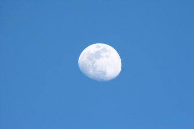 31006-2_9214 .jpg