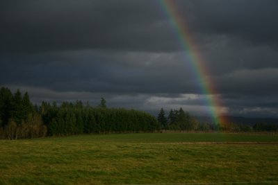 31706-1_9984 .jpg