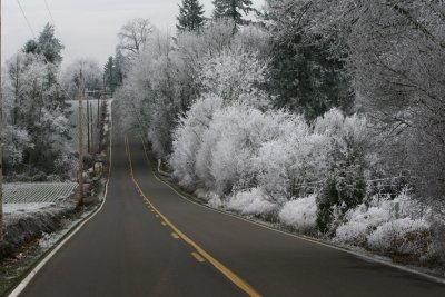 122006-1_8773 .jpg