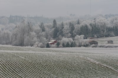 122006-1_8819 .jpg