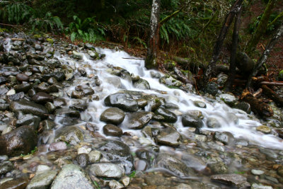 Rivers, Lakes, & Streams