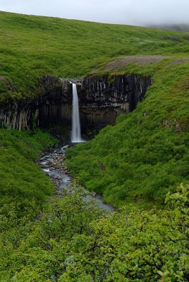 Svartifoss