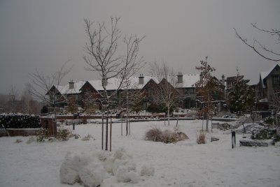 CIMG7675.JPG
