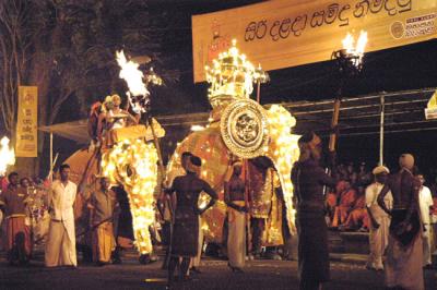 Esala Perahera 14