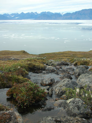 Janes Creek on Baffin Island