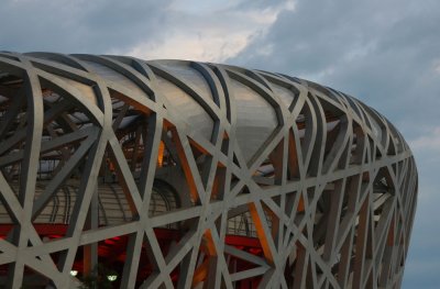 Birds Nest in closer detail