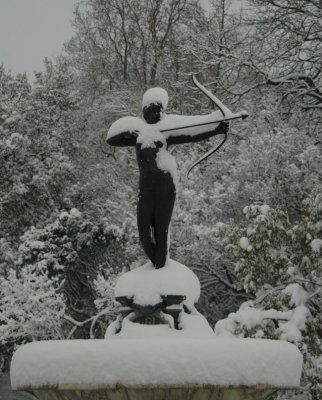 Taking aim in the snow