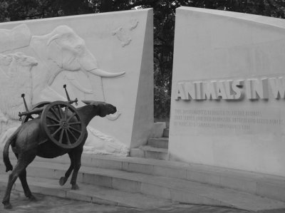 Animal war memorial