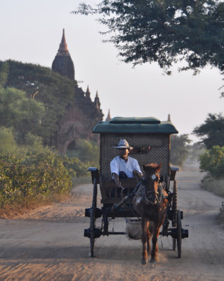 Pony and trap in Bagan