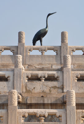 Emperors stork Forbidden Palace