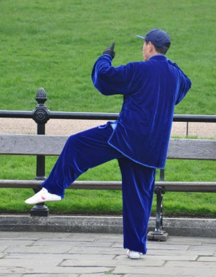 Authentic tai-chi