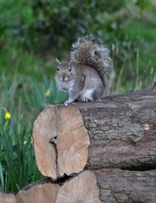 Checking for food