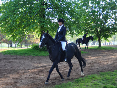 Black Beauty