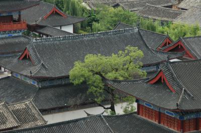 Rooftops of Lijiang