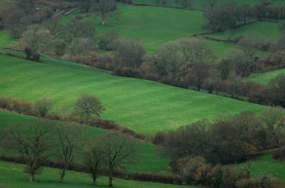 Green fields of Wiltshire