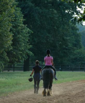 Riding lessons in Hyde Park