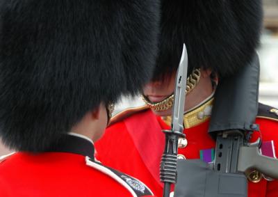 The Guards on parade