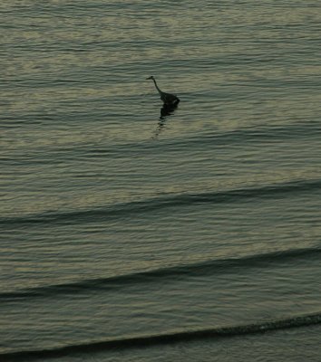 Images of Naoshima