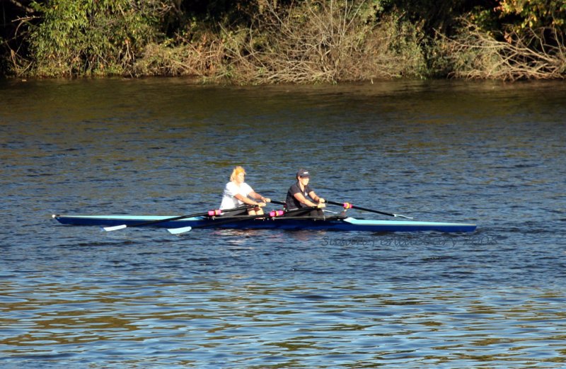 testing the waters.......for Beijing??