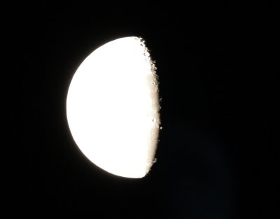 luna-effervescence