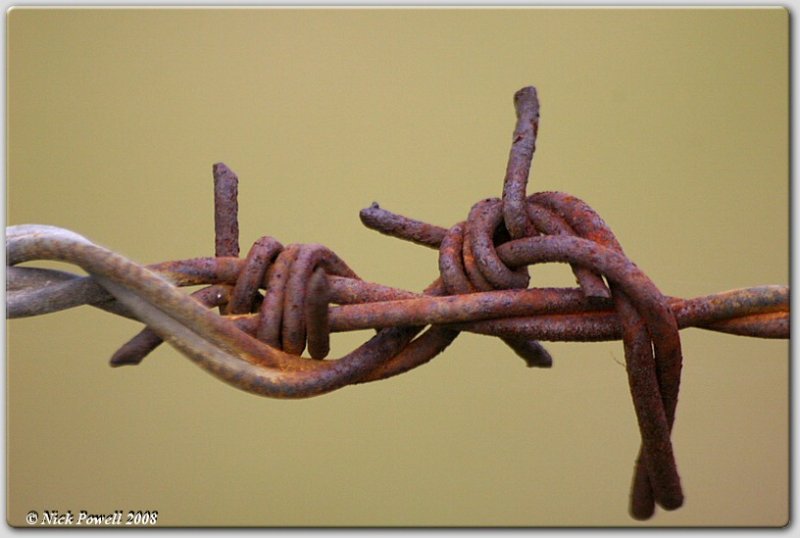 A Knotty Problem II